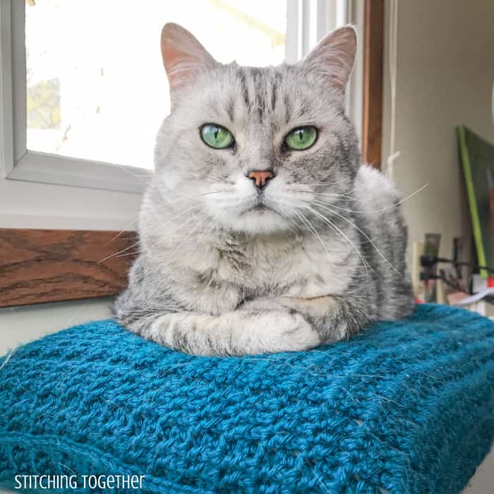 cat sitting on a crochet cushion cover