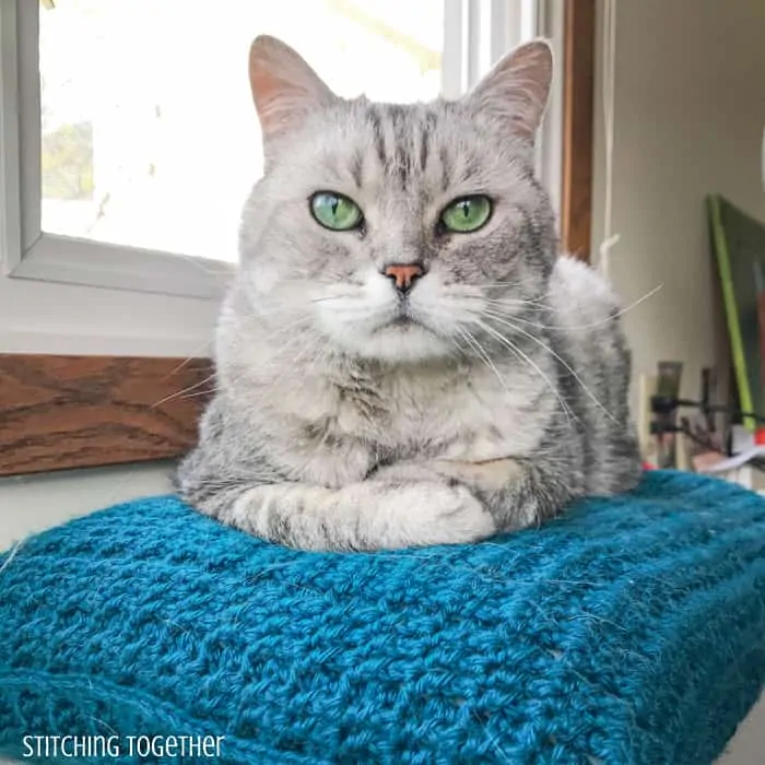 cat sitting on a crochet cushion cover