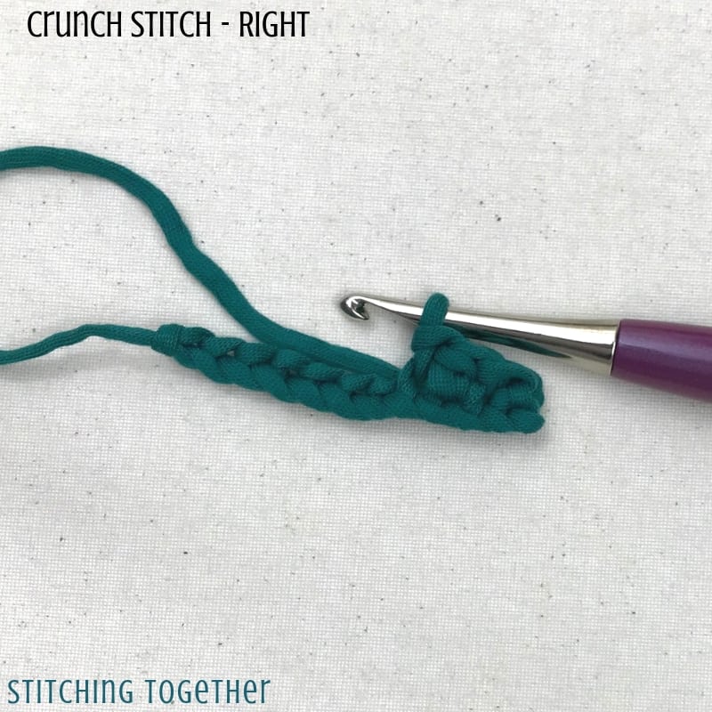 crochet stitches with purple furls hook