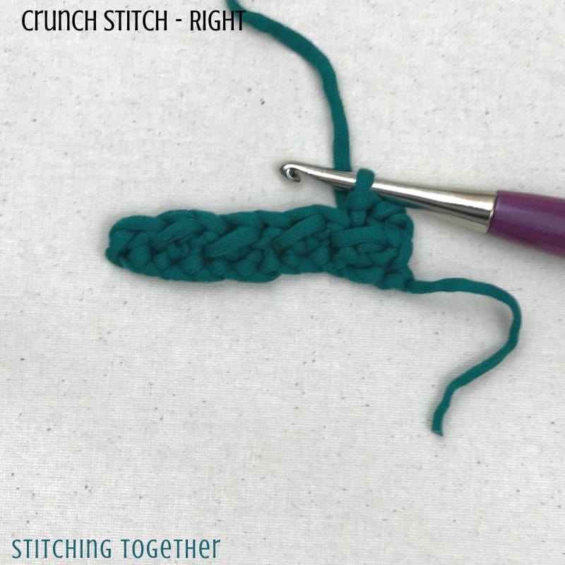 crochet stitches with purple hook