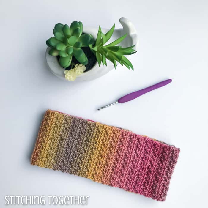 colorful crochet headband next to succulent and crochet hook