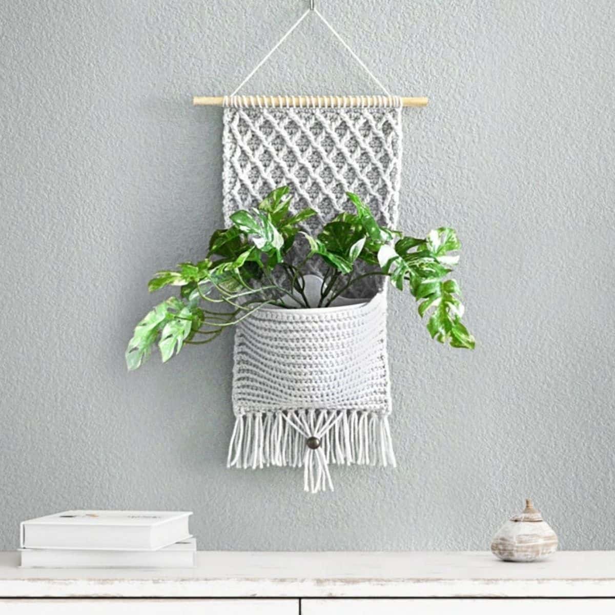 Cabide de plantas de crochê com uma linda planta saindo do bolso.