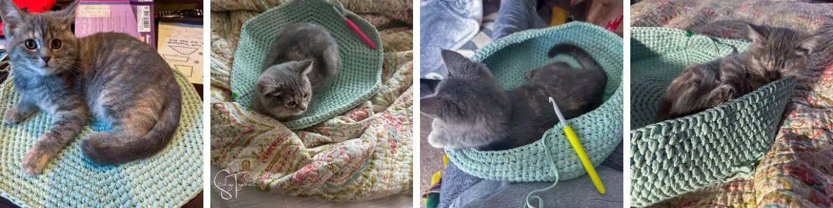 collage of four different images of a cat bed in various stages of being crocheted and the kitten who claimed them all