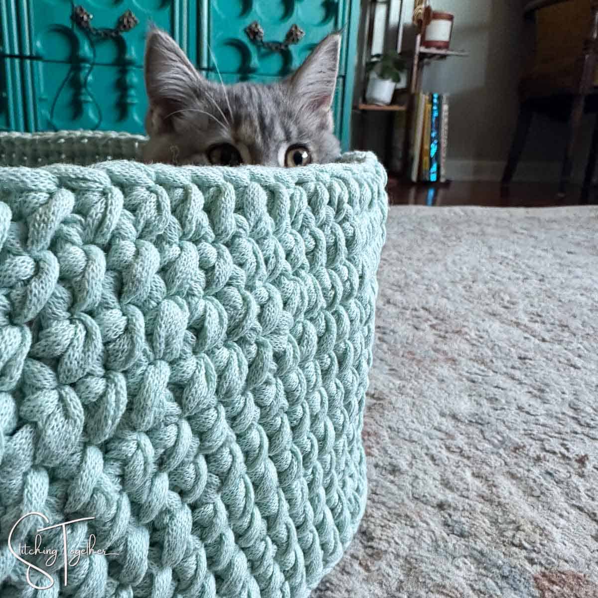 part of a kitten's face peeking over the side of a crochet cat bed