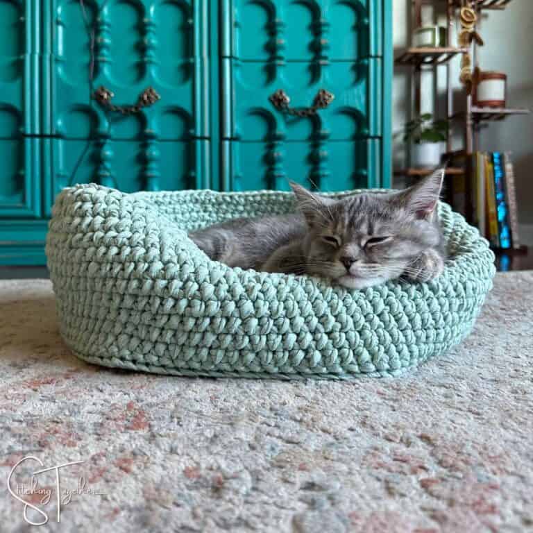 sleeping kitten in a crochet cat bed
