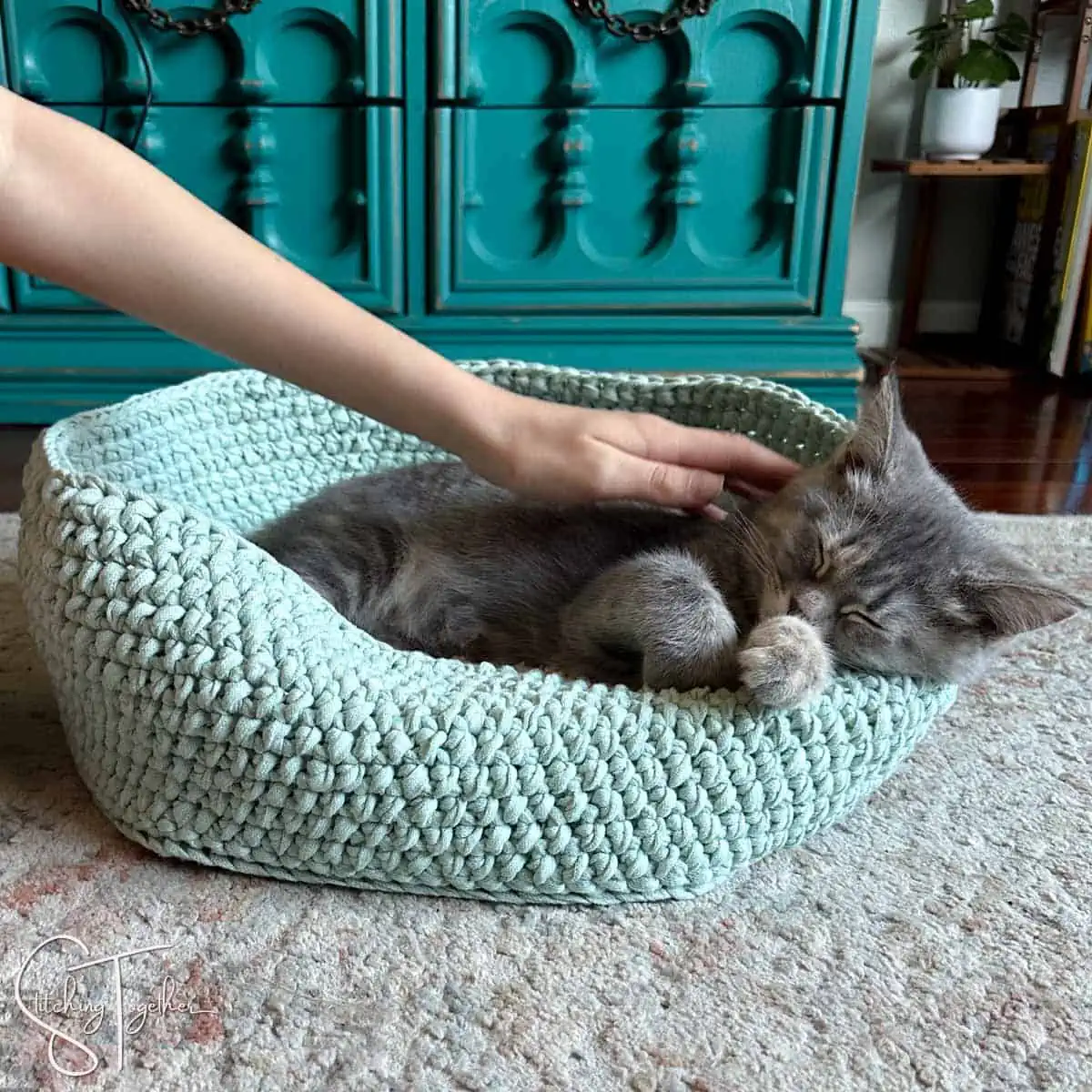 child's hand petting a sleeping kitten in a cat bed