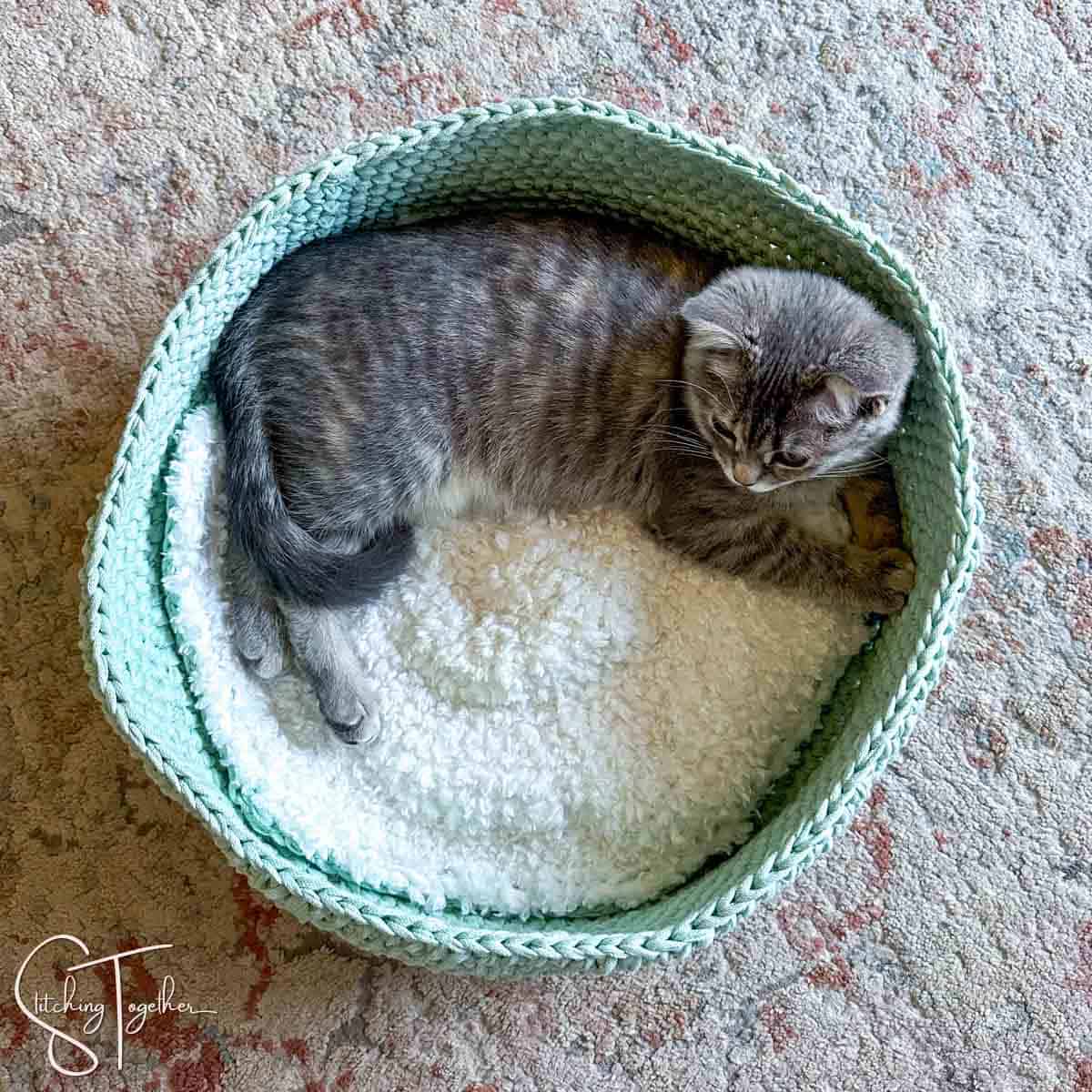 kitten in a crochet bed that's light green on the outside walls and fuzzy white inside