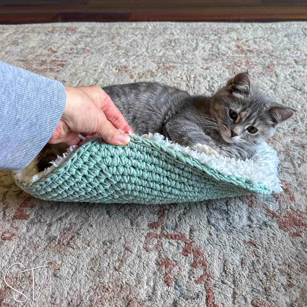 kitten on a crochet comfortable mat