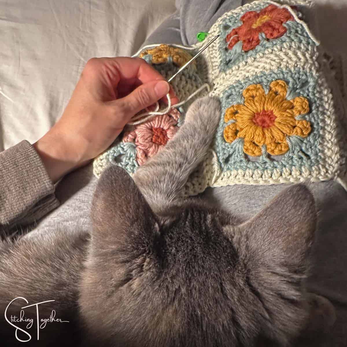 kitten looking at someone's hand while they are crocheting