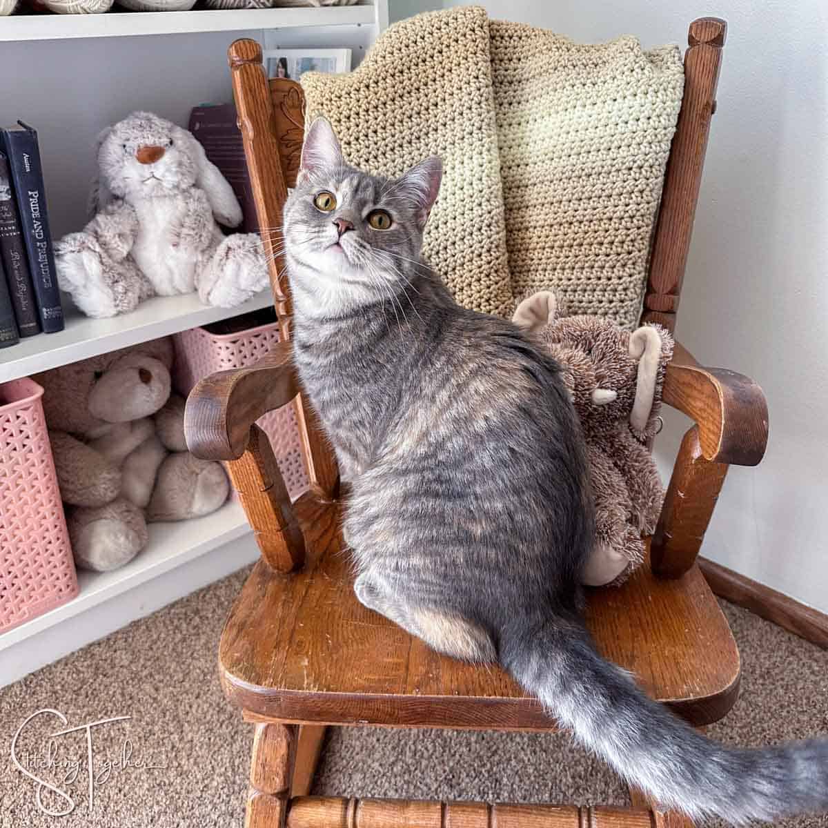cat sitting on a rocking chair with a crochet baby blanket draped on the back