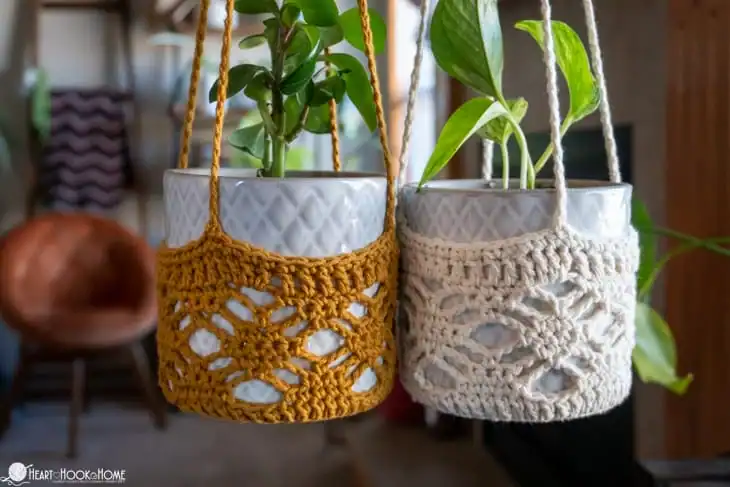 2 cute plants and pots sitting in crochet plant hangers
